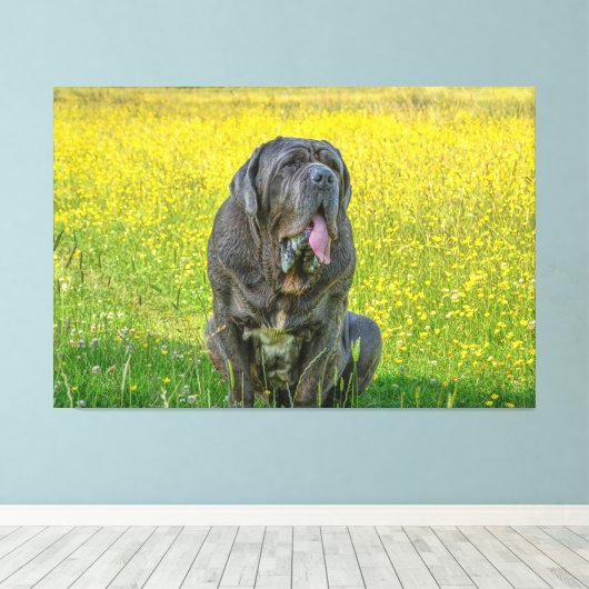 Toile Gorgeous Mastiff (Insitu (Plancher de Bois))