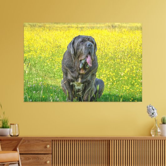 Toile Gorgeous Mastiff (Insitu(Salon))