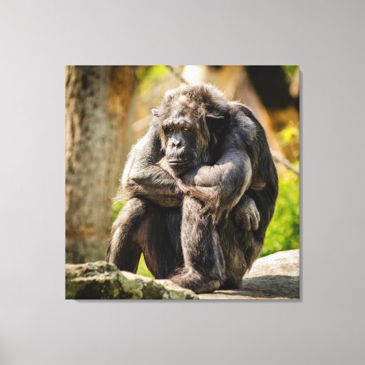 Toile Gorilla (Recto)