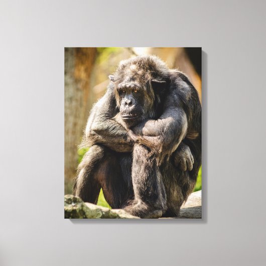 Toile Gorilla (Recto)