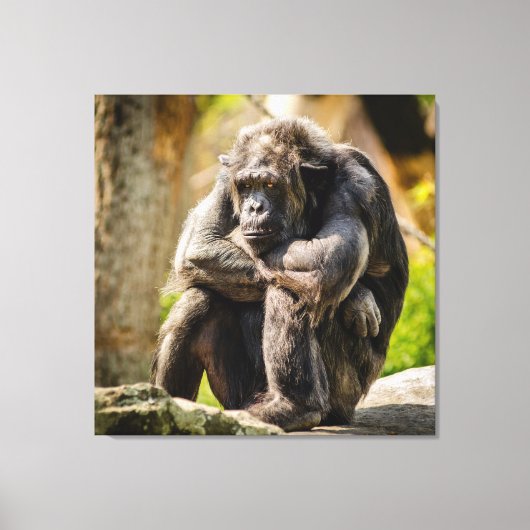 Toile Gorilla (Recto)