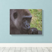 Toile Gorilla (Insitu (Plancher de Bois))