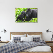Toile Gorin bébé des montagnes embrasse un gorille dos a (Insitu(Chambre))