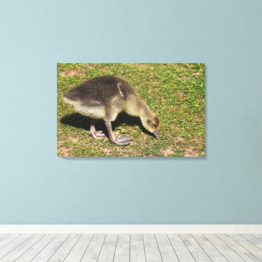 Toile Gosling (Insitu (Plancher de Bois))