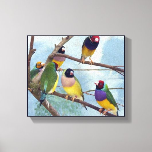 Toile Gouldian Finches (Recto)