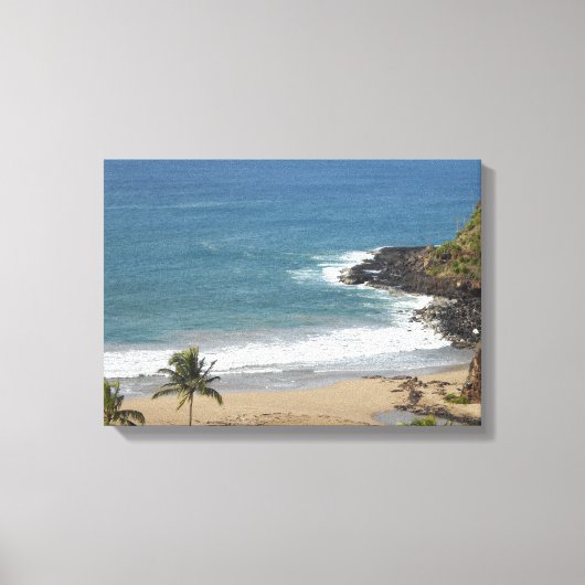 Toile Goût d'Hawaii (Recto)