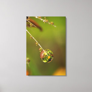 Toile Goutte d'eau en gros plan