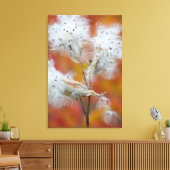 Toile Graines d'asclépiade en automne, Canada (Insitu(Salon))