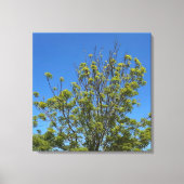 Toile Grand Ash Tree Dans La Belle Photo Ciel Bleu (Recto)