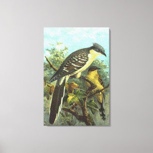 Toile Grand Cucko Birds Canvas Imprimer
