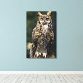 Toile Grand-duc d'Amérique (Bubo virginianus), corps ent (Insitu (Plancher de Bois))