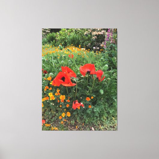Toile Grand pavot rouge dans un jardin anglais (Recto)