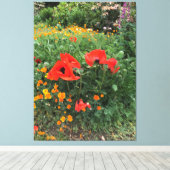 Toile Grand pavot rouge dans un jardin anglais (Insitu (Plancher de Bois))