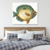 Toile Grand Poisson Coloré (Insitu(Chambre))