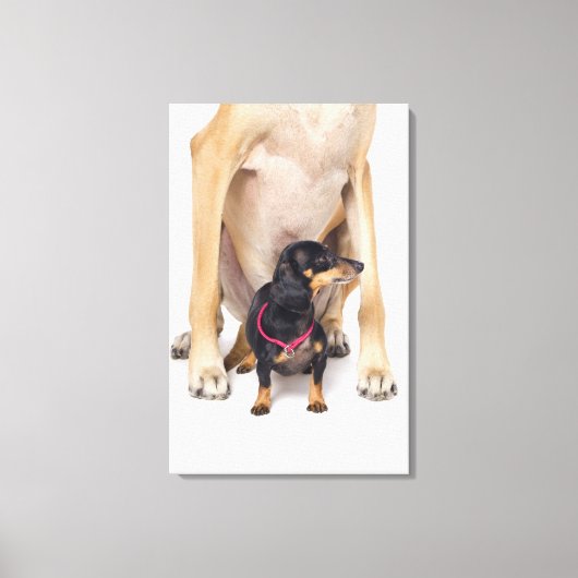Toile Grand portrait Dane et Dachshund (Recto)