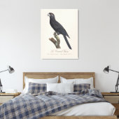 Toile Grand Vasa, Coracopsis Vasa Illustration (Insitu(Chambre))