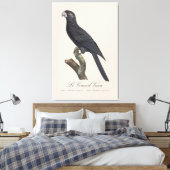 Toile Grand Vasa, Coracopsis Vasa Illustration (Insitu(Chambre))