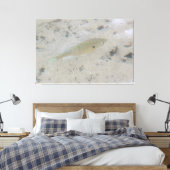 Toile Grande Canvas Poissons (Insitu(Chambre))