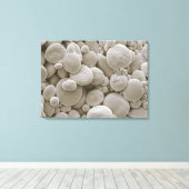 Toile Granules d'amidon de blé (Insitu (Plancher de Bois))