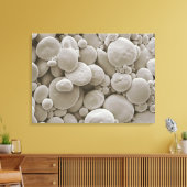 Toile Granules d'amidon de blé (Insitu(Salon))