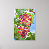 Toile Grapevine ensoleillée - Raisins colorés Peinture d (Recto)
