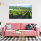 Toile Grapevines en rangées soignées à Napa en Californi (Insitu(Salon))