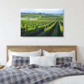 Toile Grapevines en rangées soignées à Napa en Californi (Insitu(Chambre))