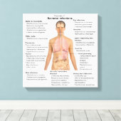 Toile Graphique des infections bactériennes chez l'homme (Insitu (Plancher de Bois))