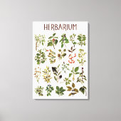 Toile Graphique Plante vert Herbarium vintage (Recto)