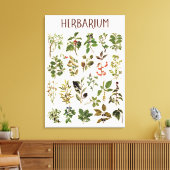 Toile Graphique Plante vert Herbarium vintage (Insitu(Salon))