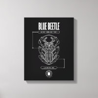 Graphique technique du scarabée bleu