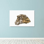 Toile Graphite, Danville, Vermont, États-Unis (Insitu (Plancher de Bois))