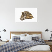 Toile Graphite, Danville, Vermont, États-Unis (Insitu(Chambre))