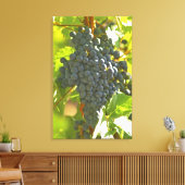 Toile grappe de Cabernet Sauvignon dans le Château (Insitu(Salon))