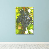 Toile grappe de Cabernet Sauvignon dans le Château (Insitu (Plancher de Bois))
