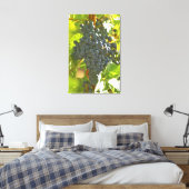 Toile grappe de Cabernet Sauvignon dans le Château (Insitu(Chambre))