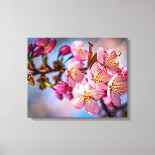 Toile Grappe de fleurs de cerisier Sakura dans le vent (Recto)