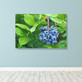 Toile grappe de myrtilles sur un buisson (Insitu (Plancher de Bois))