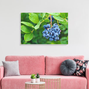 Toile grappe de myrtilles sur un buisson