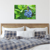 Toile grappe de myrtilles sur un buisson (Insitu(Chambre))