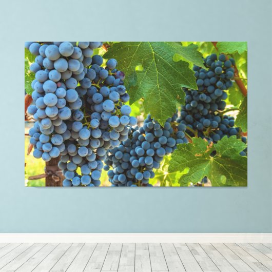 Toile Grappes (Insitu (Plancher de Bois))