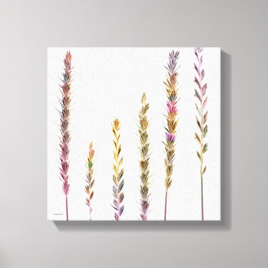 Toile Grasses colorées (Recto)