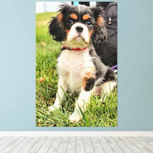 Toile Grave (Insitu (Plancher de Bois))