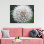 Toile Gravure Dandelion Flower Canvas Imprimer (Insitu(Salon))