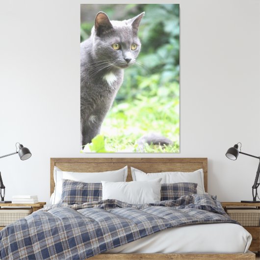 Toile Gray Kitty Chat (Insitu(Chambre))