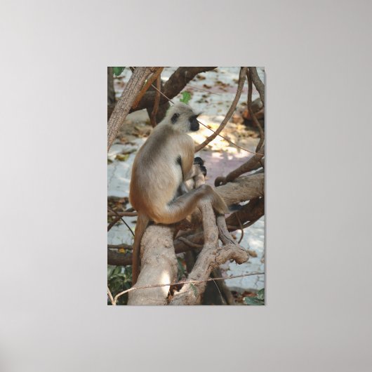 Toile Gray Langur - Repose-toi (Recto)