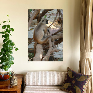 Toile Gray Langur - Repose-toi