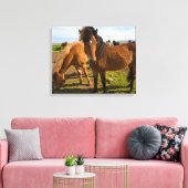 Toile Graze des chevaux islandais (Insitu(Salon))