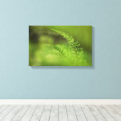 Toile Green Fern Frond Nature Photo (Insitu (Plancher de Bois))