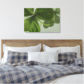 Toile Green Shamrock Feuilles Collage (Insitu(Chambre))